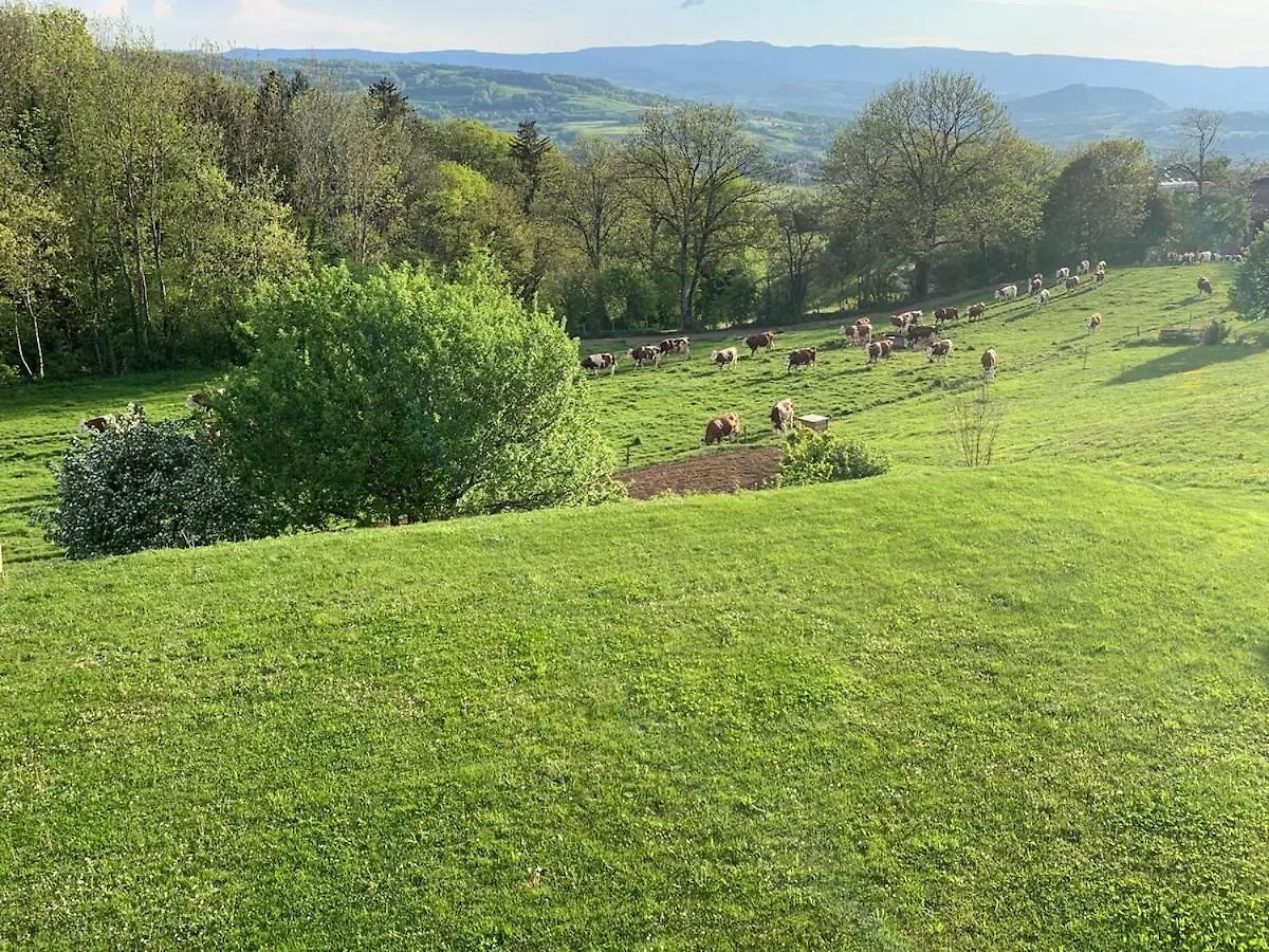 Apartment Le Petit Bois Evasion Nature Entre Geneve&Annecy Copponex