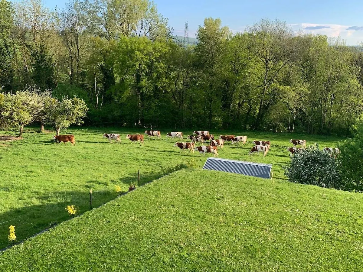 Appartement Le Petit Bois Evasion Nature Entre Geneve&Annecy Copponex