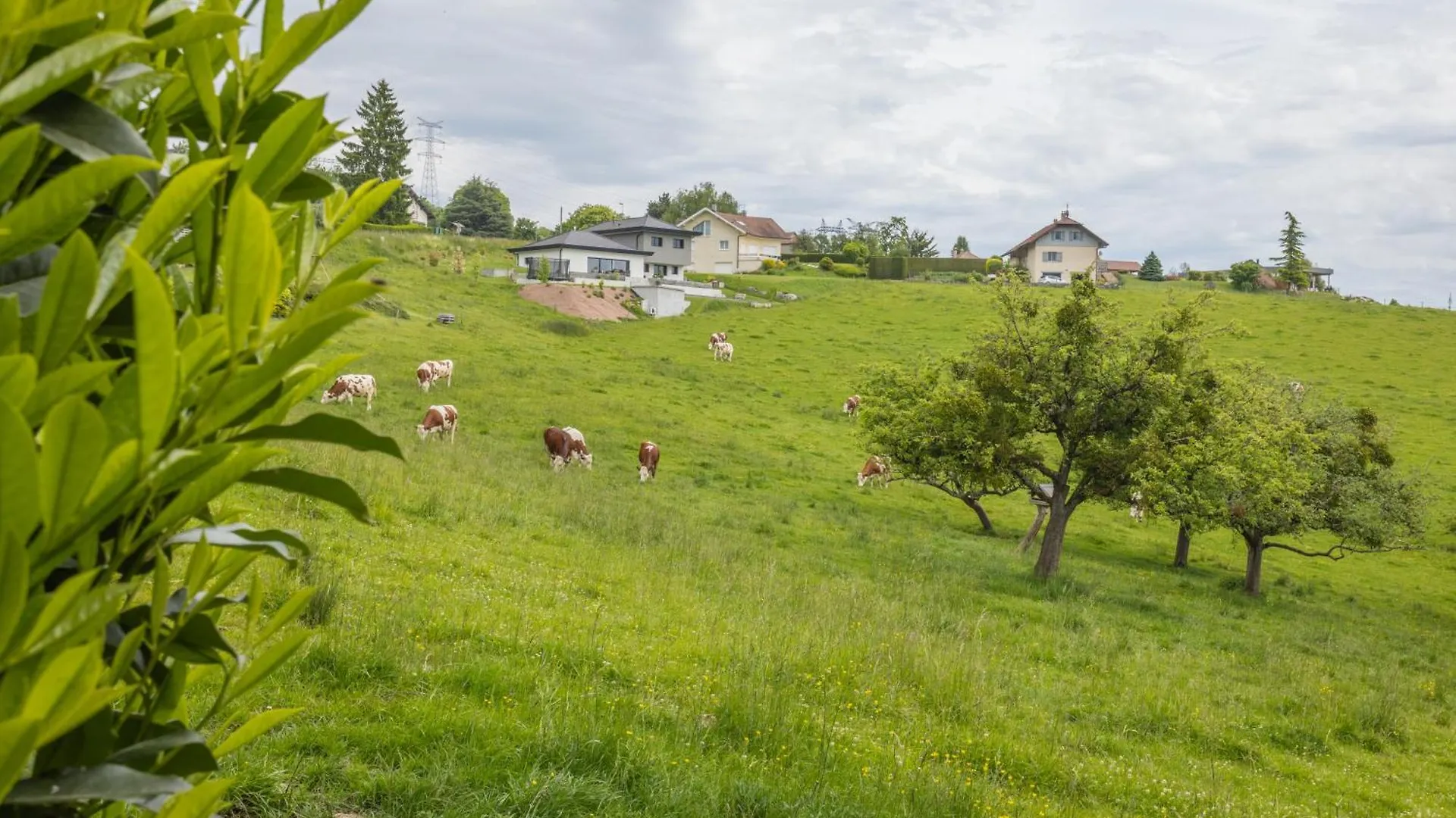 Le Petit Bois Evasion Nature Entre Geneve&Annecy Copponex 0*,