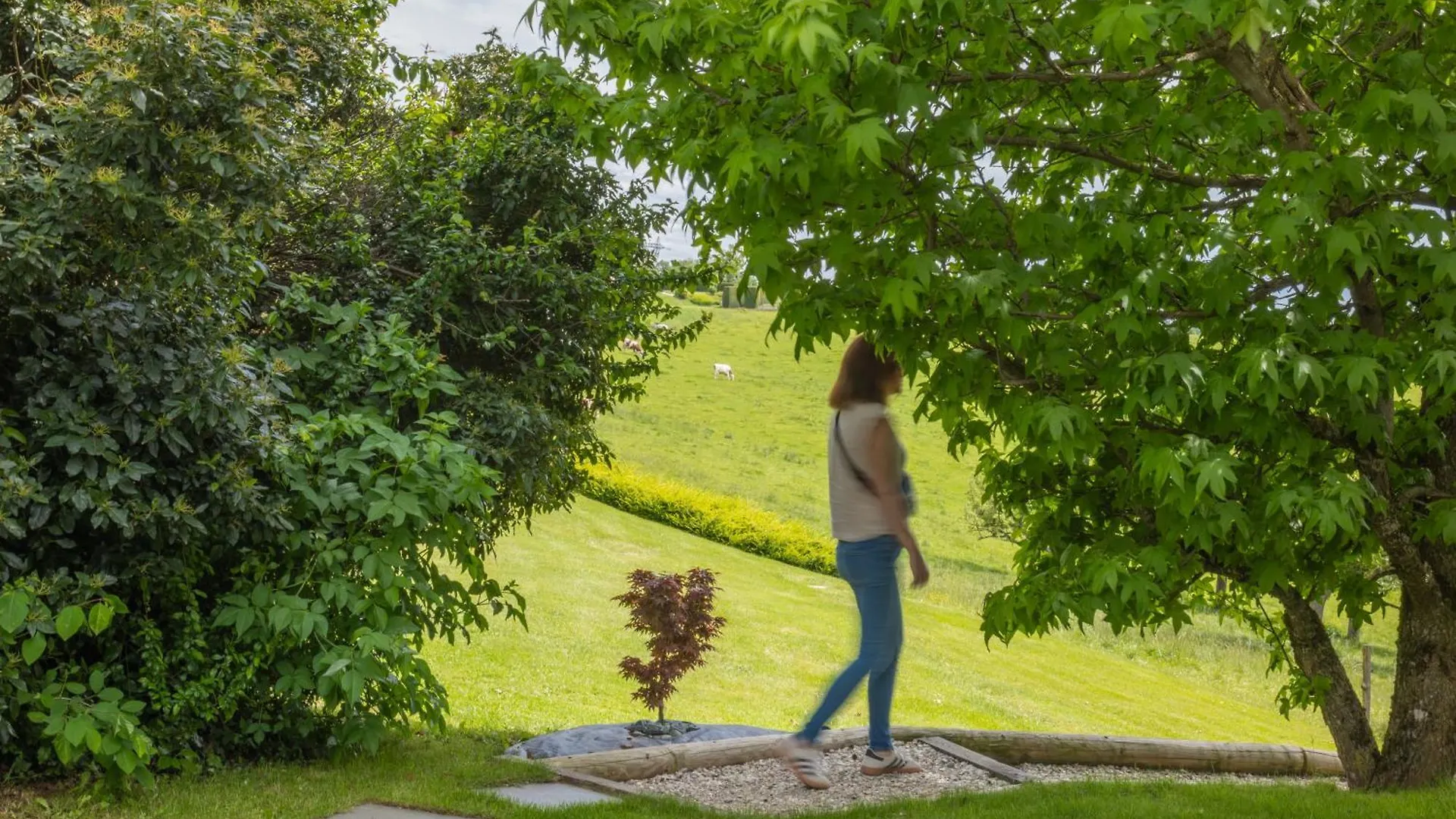Le Petit Bois Evasion Nature Entre Geneve&Annecy Copponex Frankreich